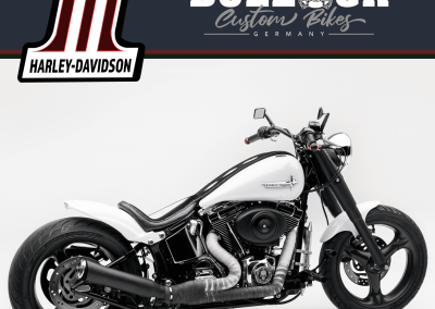 Harley Fatboy Custom Bike