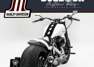 Harley Fatboy Custom Bike