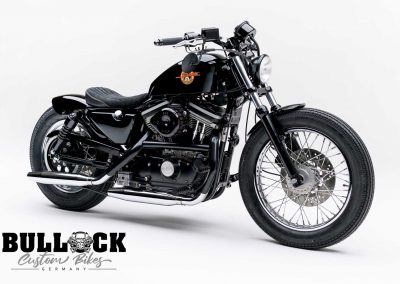 Harley Sportster Custom Bikes