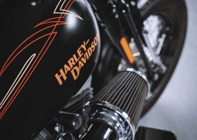 Harley Cross Bones Custom Bike