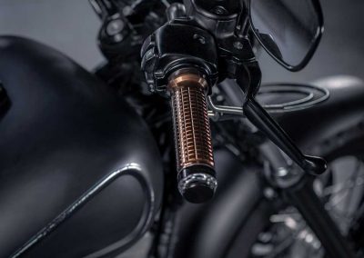Harley Davidson Sportster Umbau